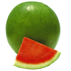 Dưa hấu Minh Khôi