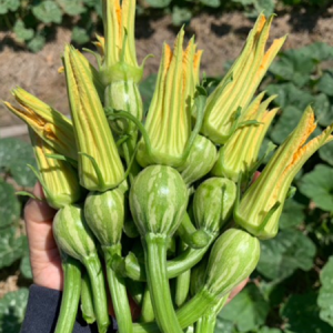 Siêu Bông - Ảnh 3