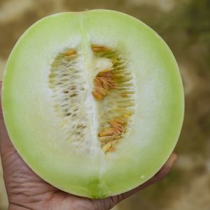 Mật Lộ - Ảnh 4