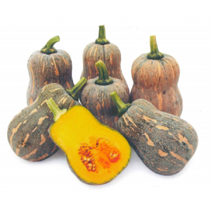 Khôi Tinh - Ảnh 1