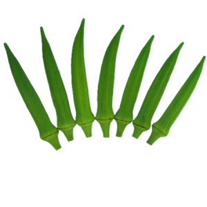 Nam Dương - Ảnh 1