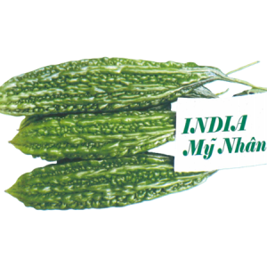 India Mỹ Nhân - Ảnh 1