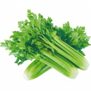 Cần NH01 - Ảnh 1