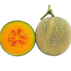 Quế Châu - Ảnh 1