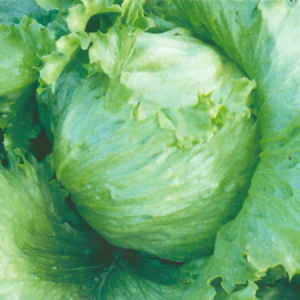 Thùy Dung - Ảnh 1