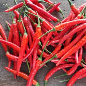 Phương Tuệ - Ảnh 4