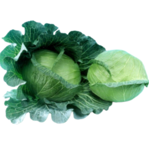 Cải bắp Lam Thanh